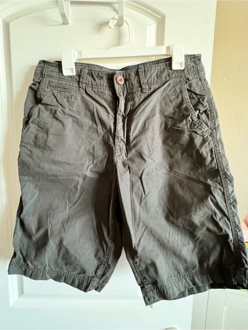 American Eagle Outfitters Men's Black Flat Front Shorts